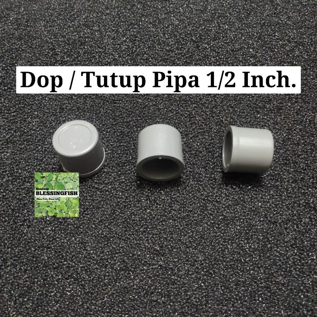 Dop Pipa 1/2 Inch Dop Tutup Pipa 1/2 Inch Kop Pipa 1/2 Inch Tutup Pipa 1/2 Inch  Aquarium