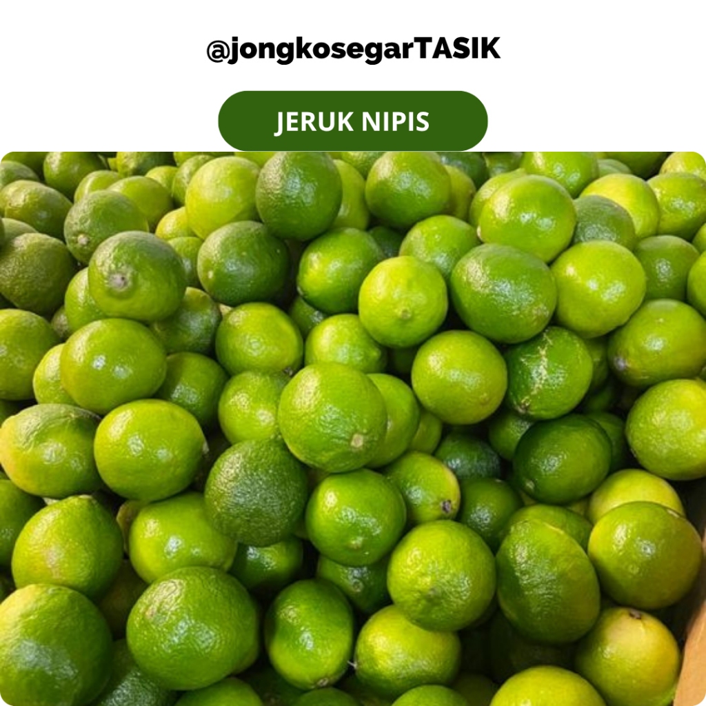 

jongkosegarTASIK - Jeruk Nipis Segar Fresh 250-500gram