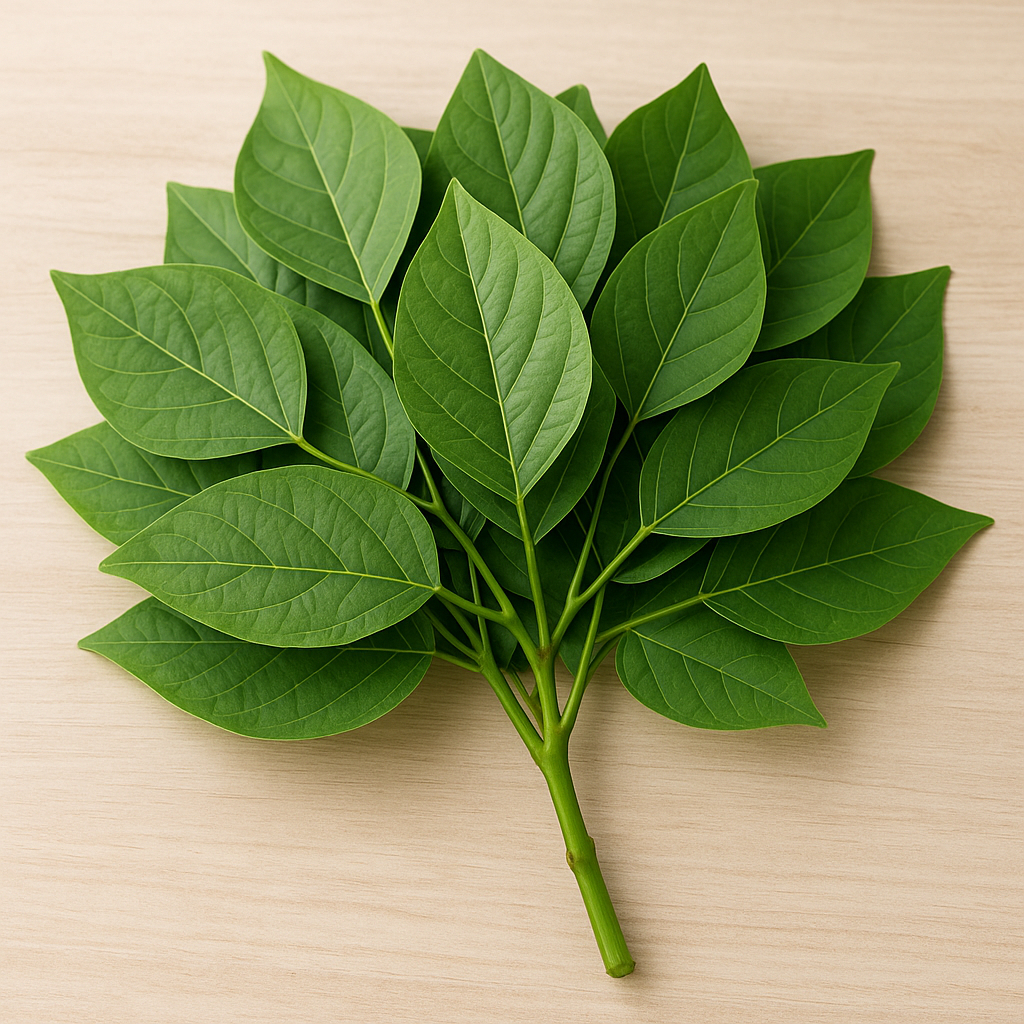 

Daun Dadap Segar 100gr | Herbal Alami Pengurang Nyeri & Panas Dalam | Daun Dadap Asli Siap Seduh