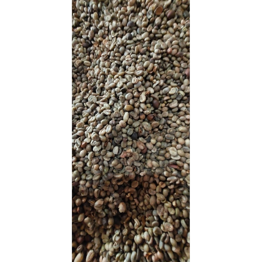 

Green Bean coffe/Biji kopi mentah pilihan khas sumatera selatan