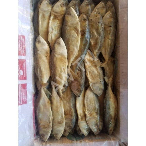 

PROMO ikan asin kembung Kalimantan isi 3ekor / ikan asin / ikan asin kembung / ikan asin kembung pontianak / ikan kembung / kembung asin / ikan asin kembunb