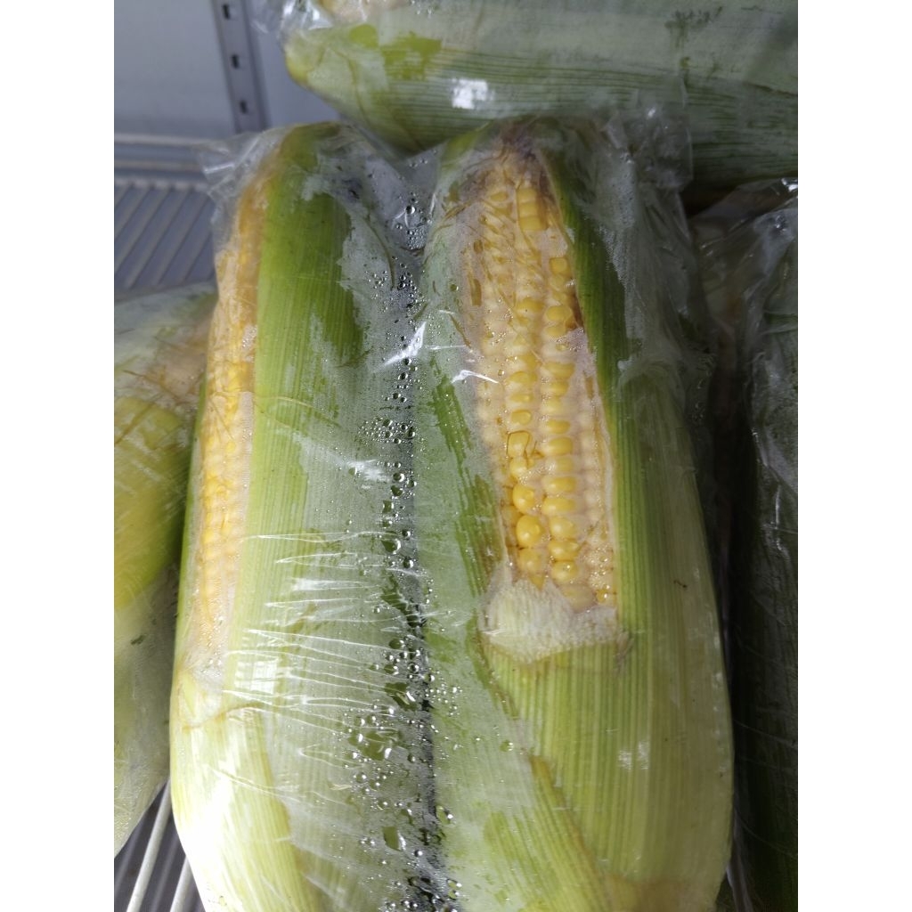 

Jagung Manis