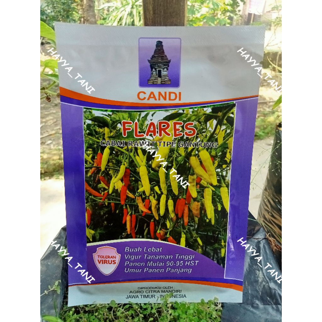 FLARES CABE RAWIT TIPE GANTUNG
