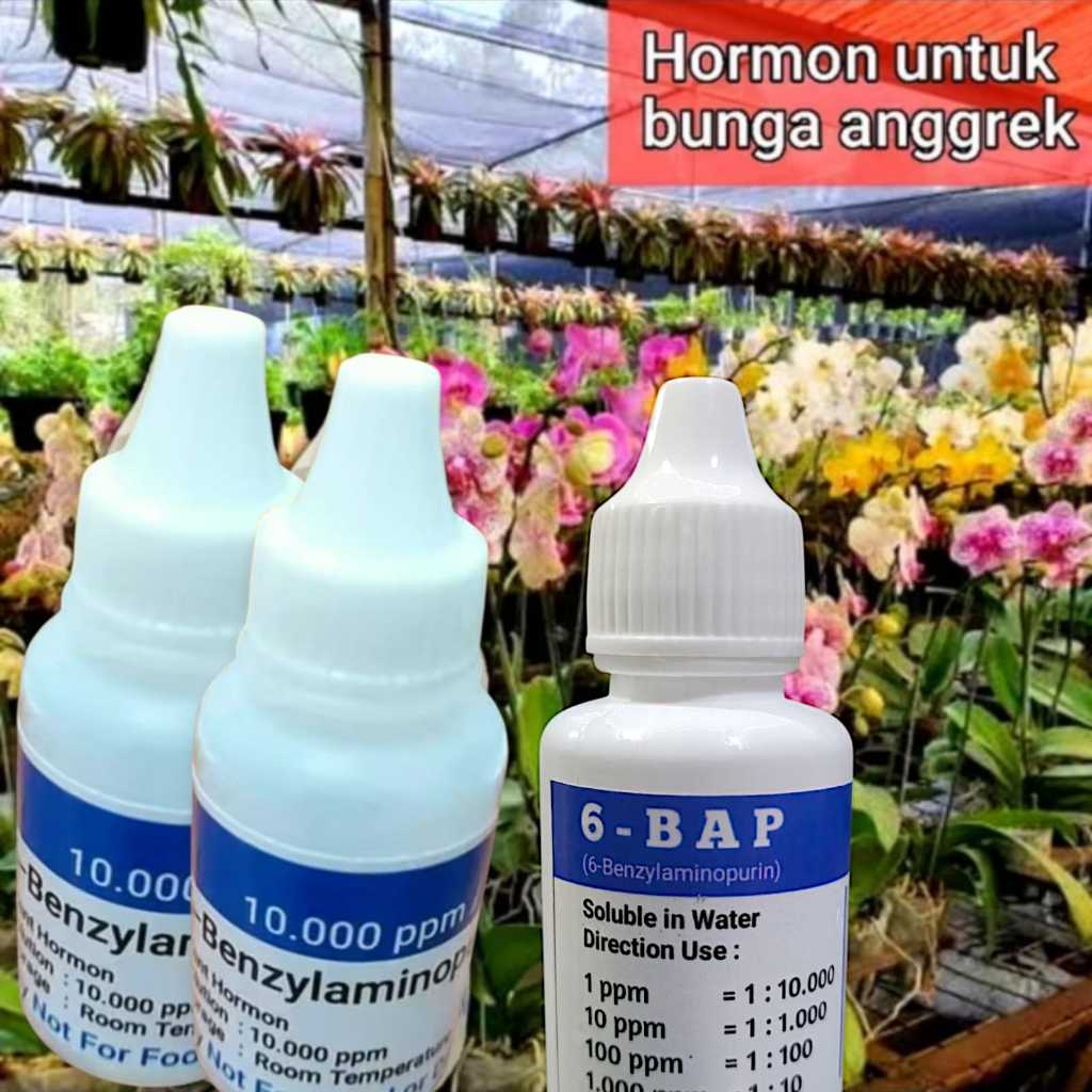 Pupuk Hormon Anggrek BAP. 6-BAP BENZYL AMINO PURIN 10.000 ppm 30 ml