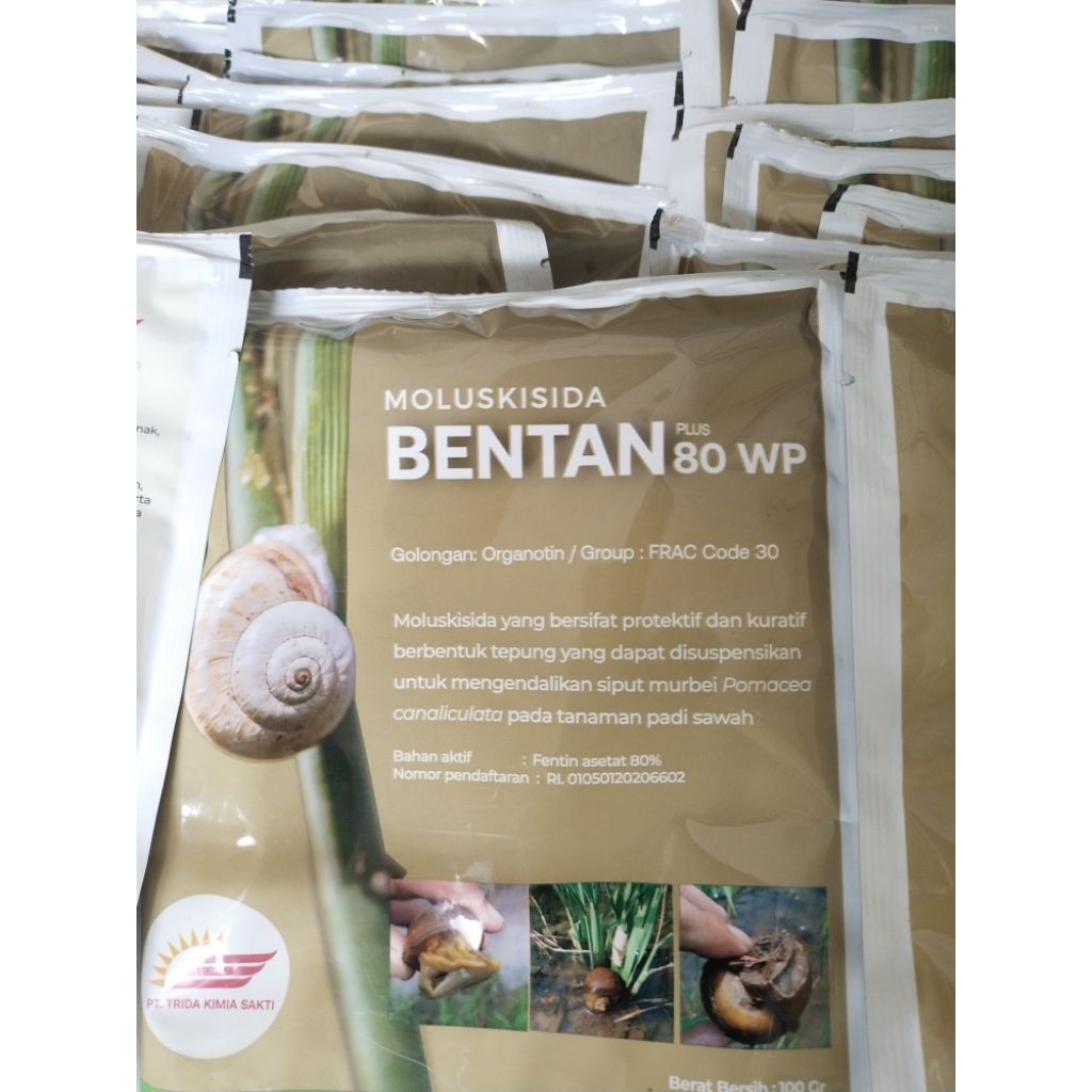 BENTAN plus 80WP isi 100gr mengendalikan siput/keong/sejenismya
