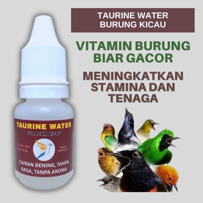 Taurine Burung Juragan Kicau Sebagai Vitamin Burung Biar Gacor