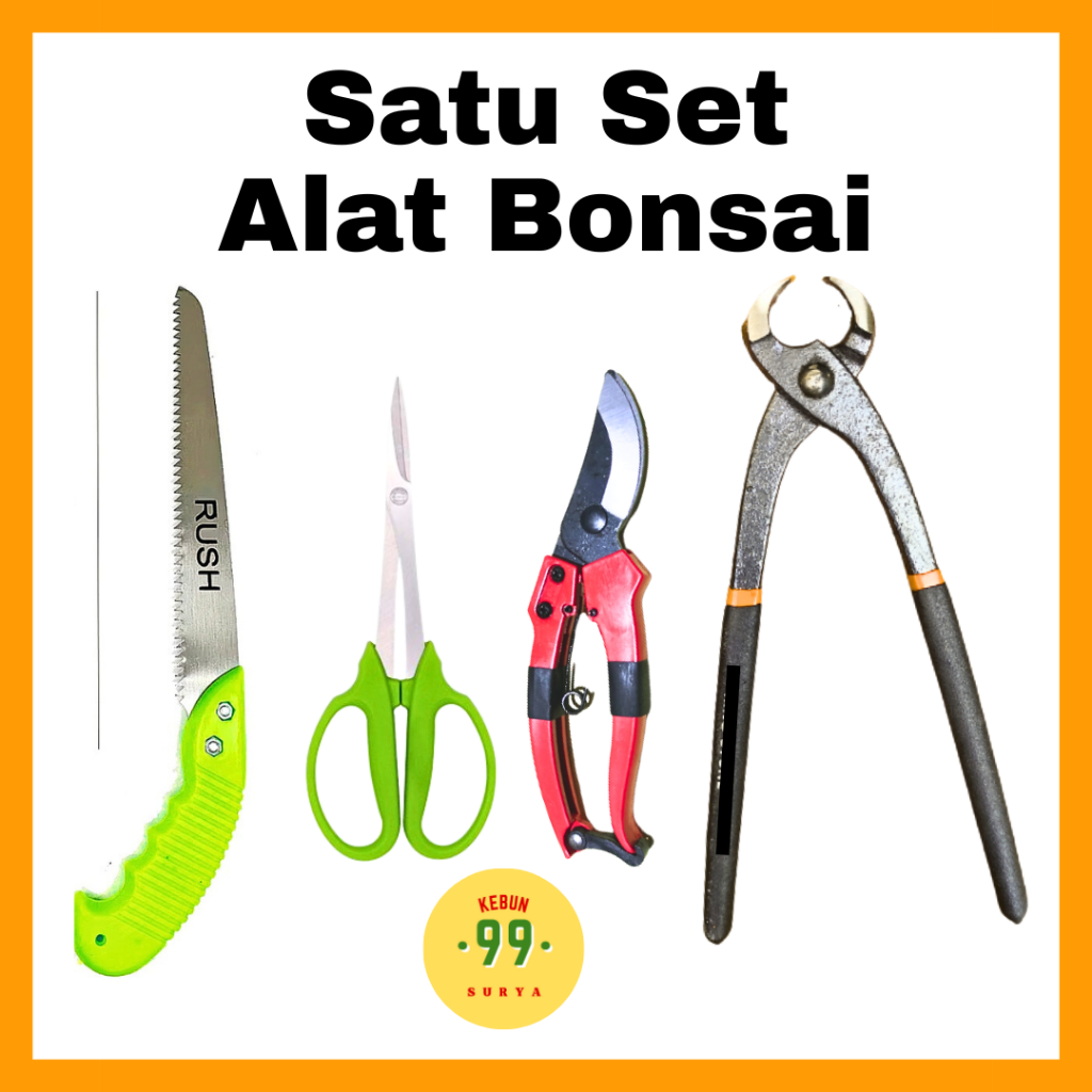 Paket Alat Bonsai Satu Set Tinggal Pakai Catok Modifikasi Tajam Gergaji Gunting Dahan Ranting Guntin