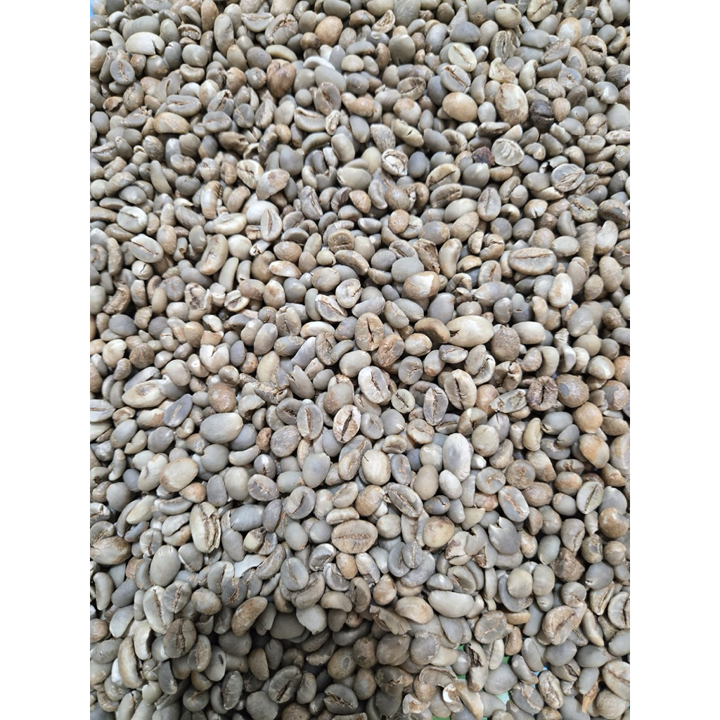 

❤️RYS❤️ KOPI ROBUSTA 1 KG BISA KOLIAN LANGSUNG KIRIM