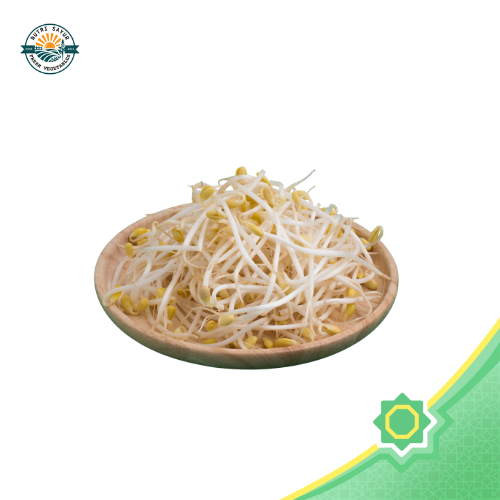 

Tauge Pilihan (250 gr) | NutriSayur | Renyah & Bersih!