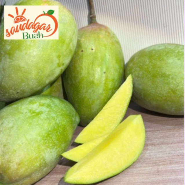 

MANGGA MANOHARA MENGKEL MANGGA STEK KIOJAY, GARING MANIS SEGER BERSAGU