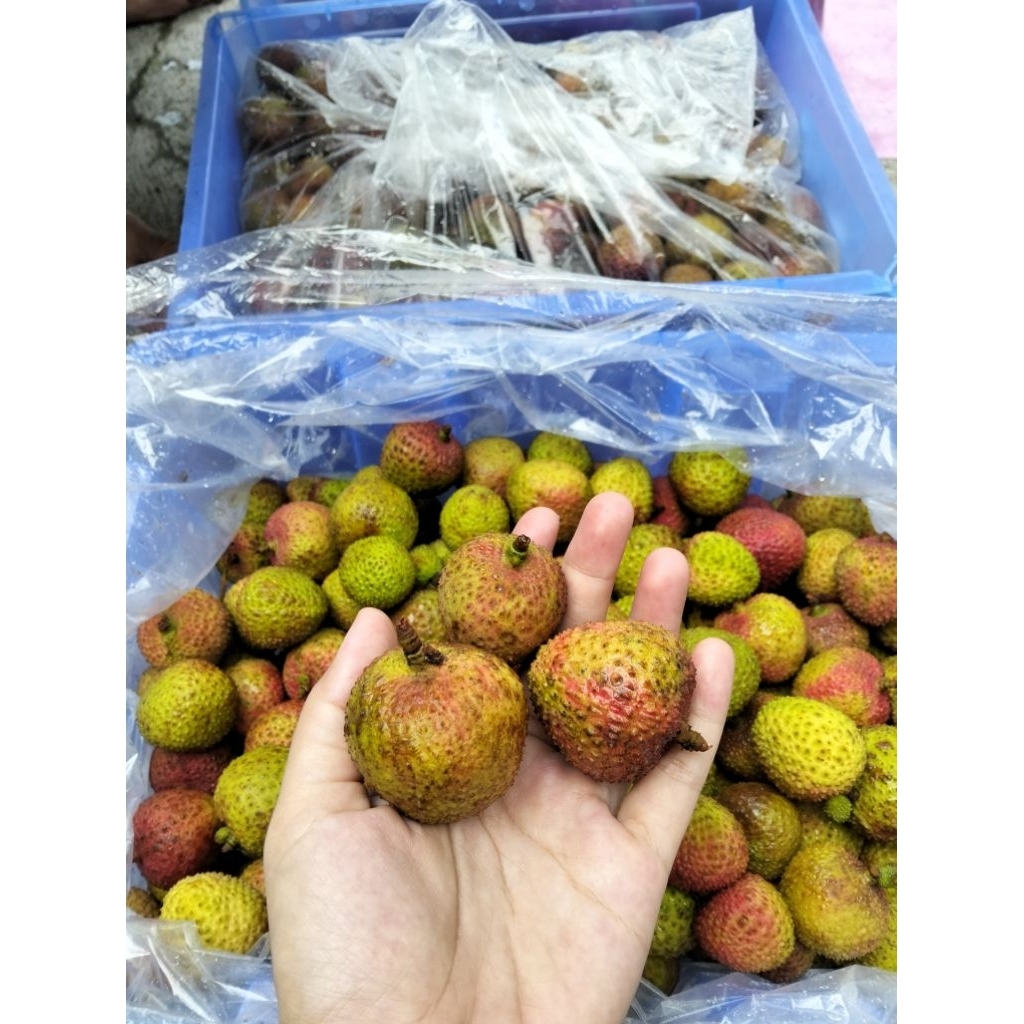 LECI MADU HIJAU FRESH 1kg
