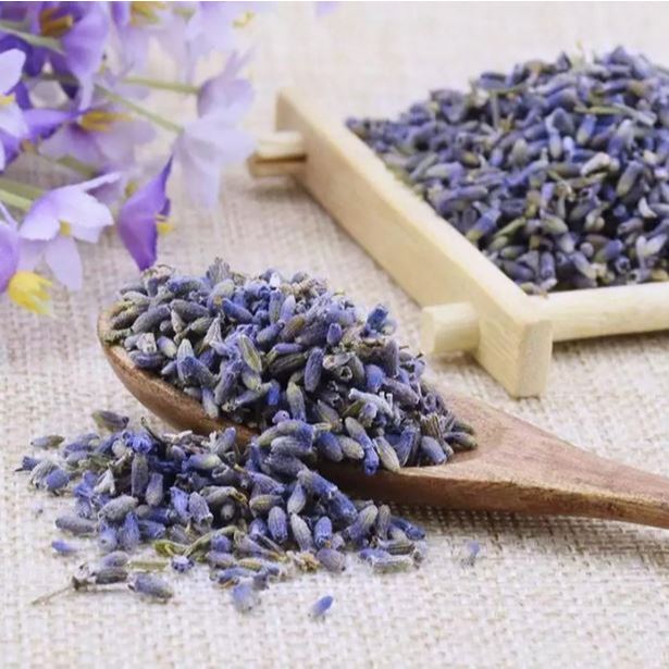 

(skr) Teh Lavender Kering Rempah Bunga lavendel leaf organik minuman herbal lavendula flower tea