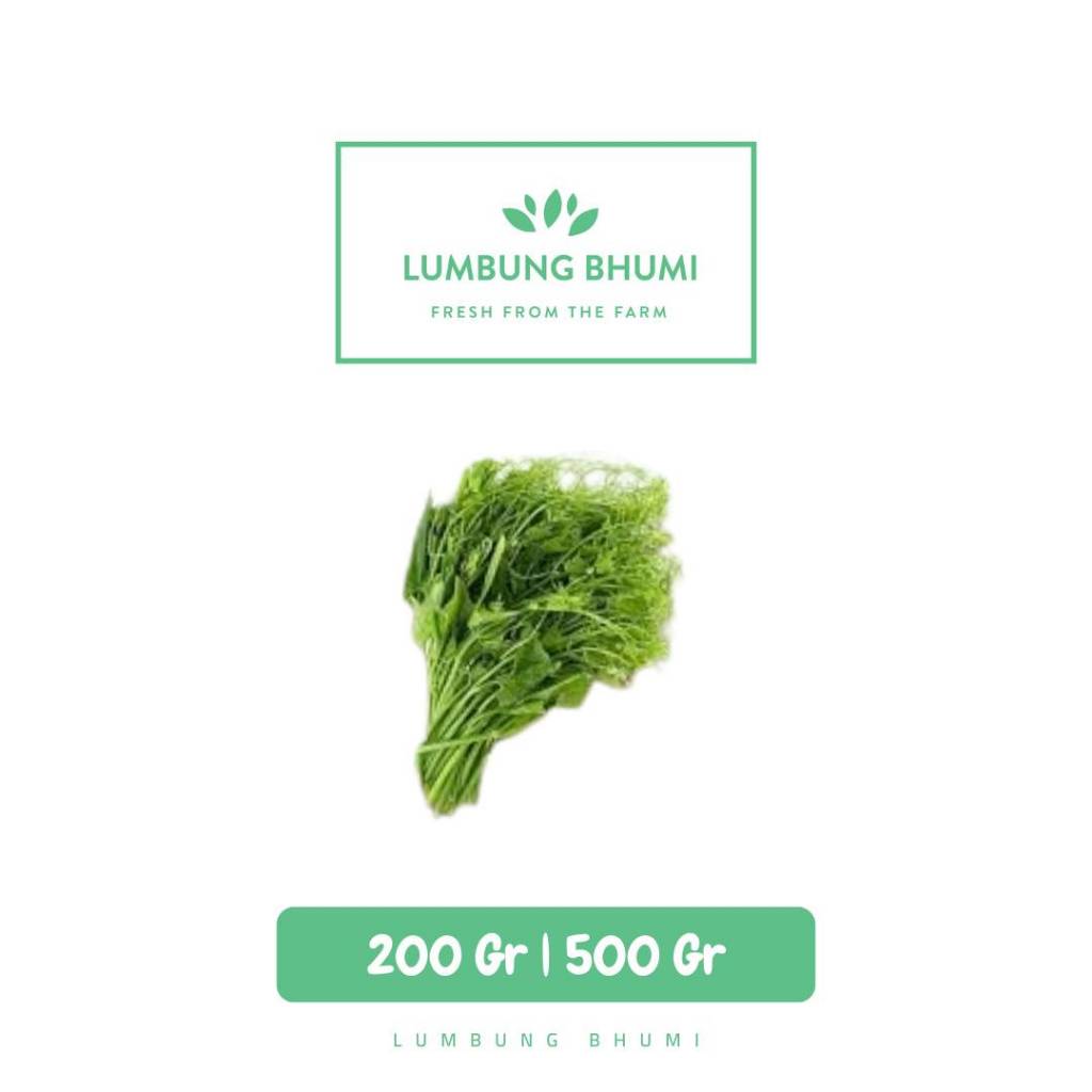 

Pucuk Labu Sayur - Lumbung Bhumi