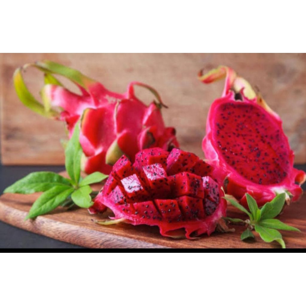 

buah naga merah netto 1000gr