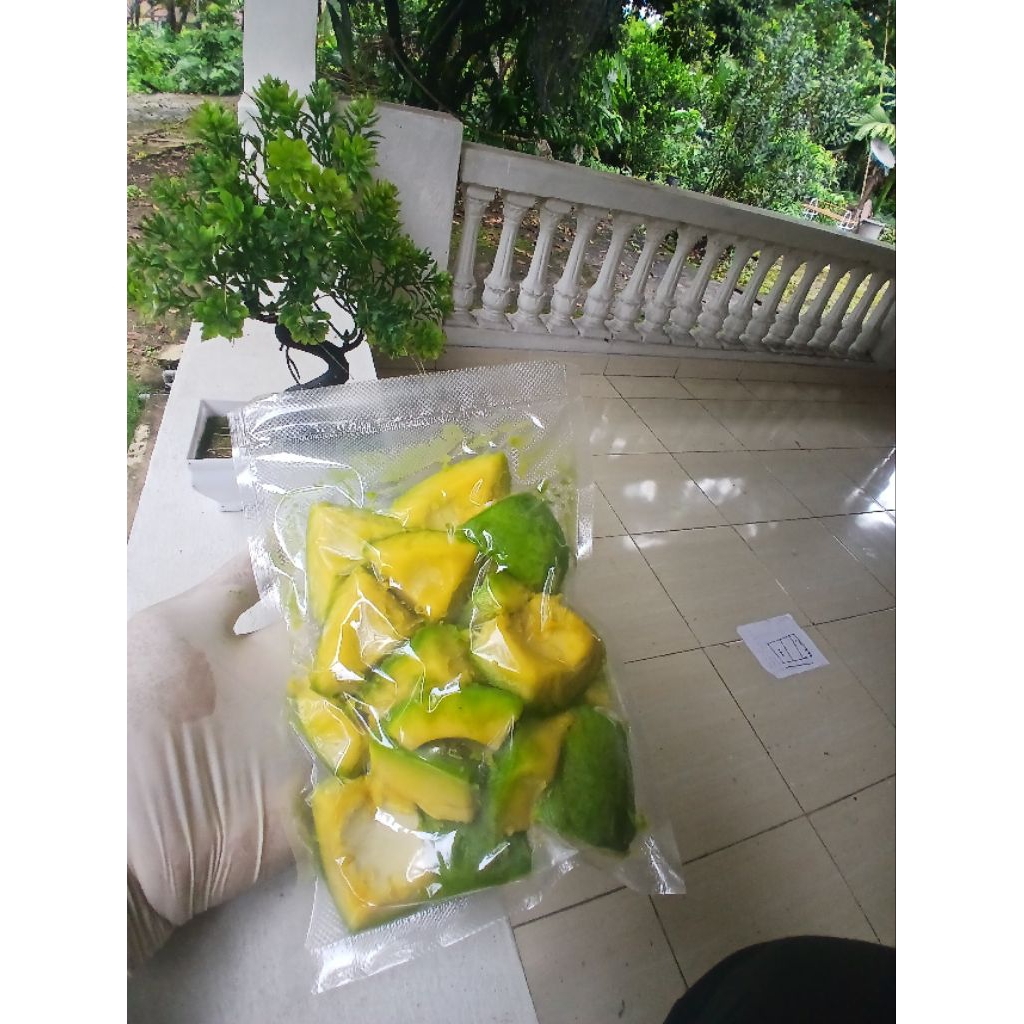 

ALPOKAT FROZEN 500 GR PREMIUM