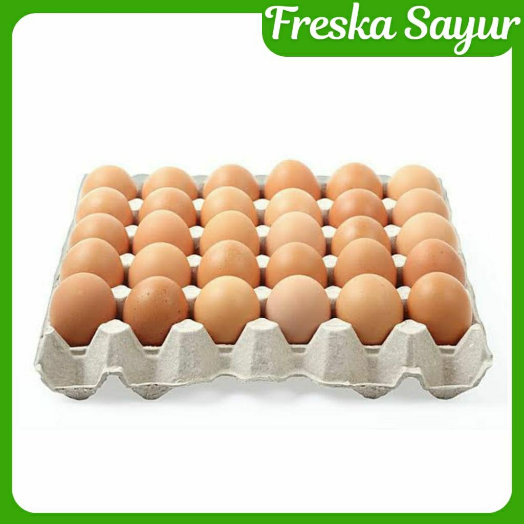 

Telur Ayam Negeri Fresh 500 gr