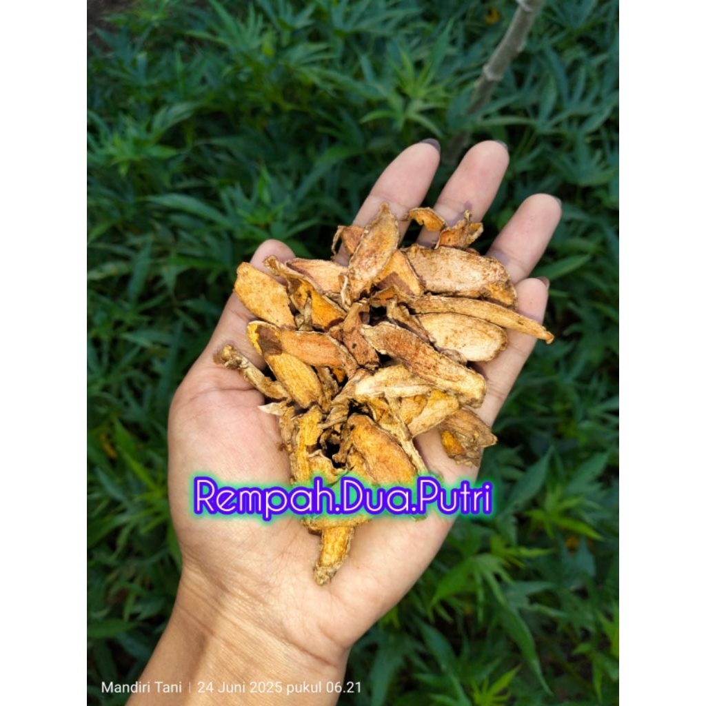 

Kunyit - kunir rajang kering berat 500g