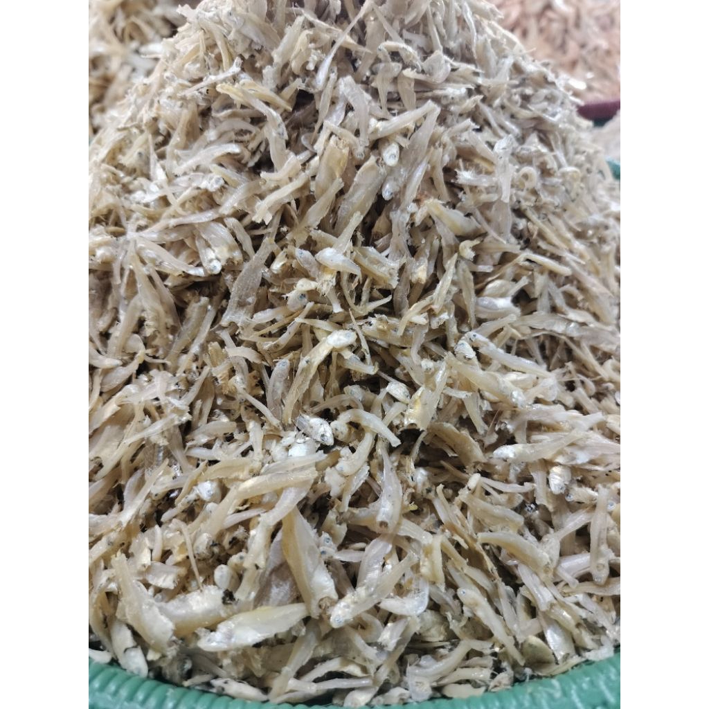 

Teri Mayang Sungsang Kualitas Super Dan Premium