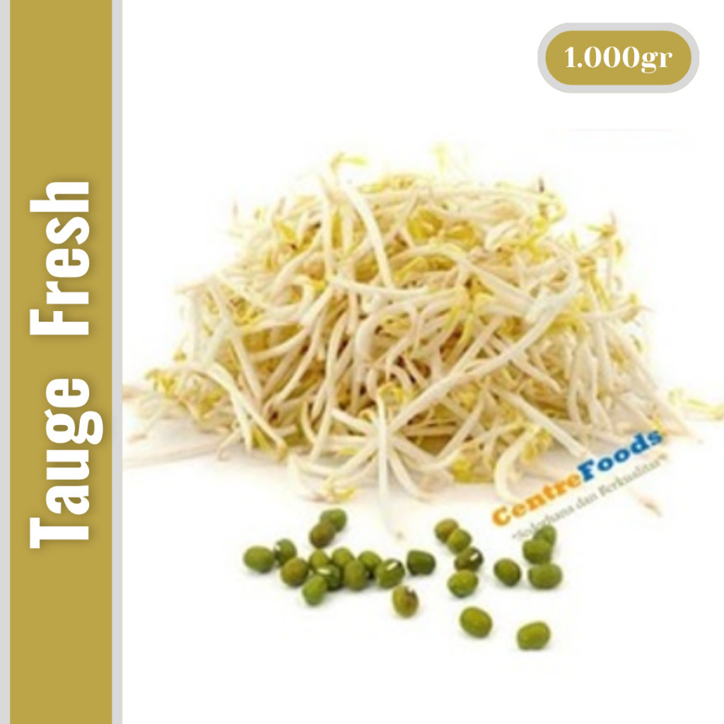 

Sayur Tauge Segar - Toge Fresh | 1.000gr [ Harga Per KG ]
