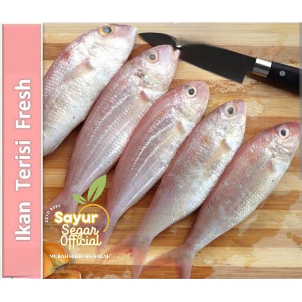 

Ikan Terisi /Trisi Segar 500gr / 1kg - Kirim Instan