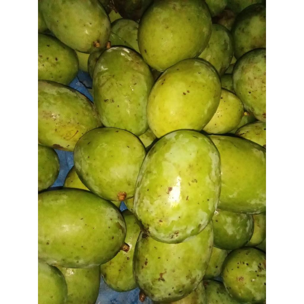 

Buah Kuini 500 gram