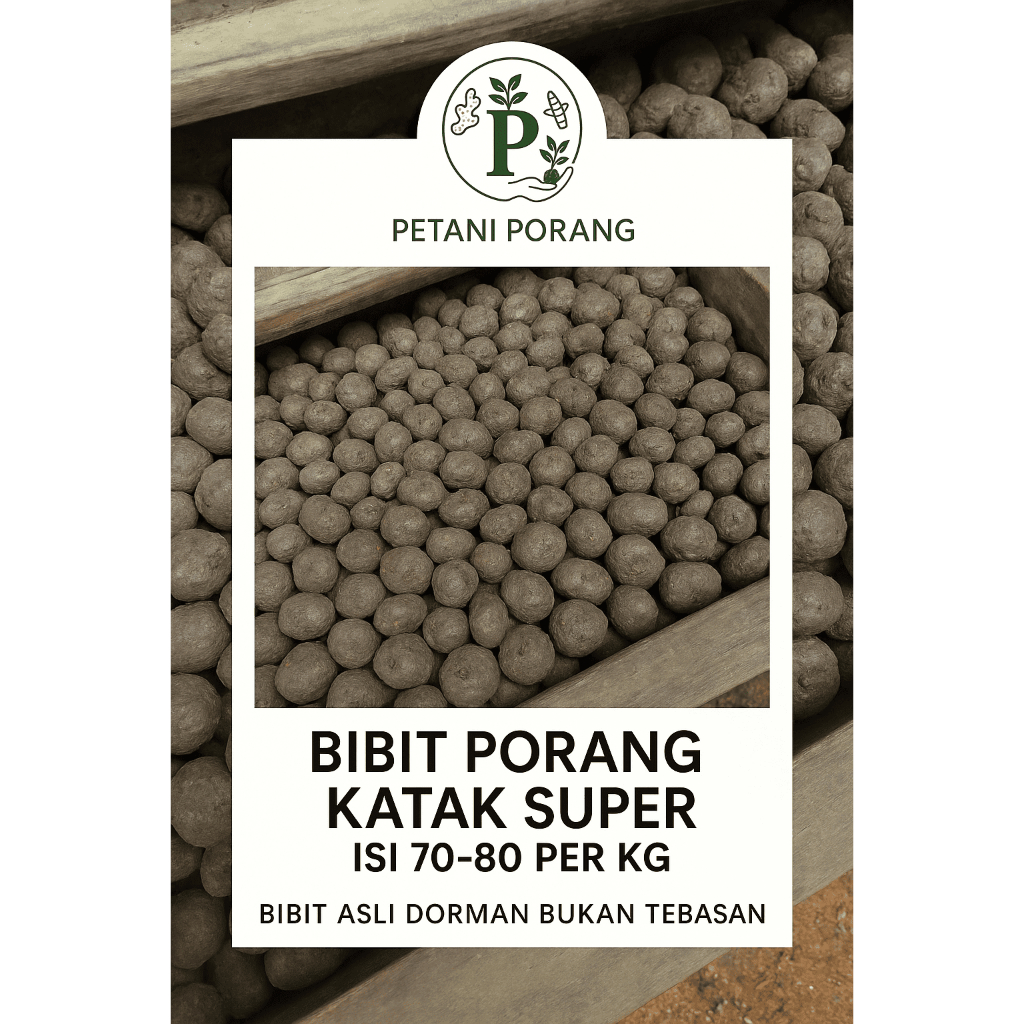 Bibit  Porang super 1 kg isi 70-80 harga ecer per kg