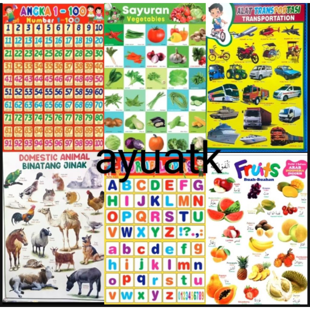 

(Paket 6 Lembar )Poster Edukasi Anak Abjad Angka Sayur Buah hewan Transportasi Stationery untuk Belajar Anak