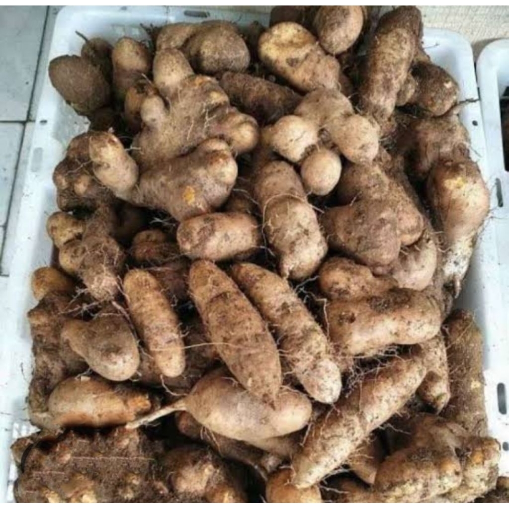 

ubi gembili ketan premium, pulen, fresh dari kebun,food, 1kg