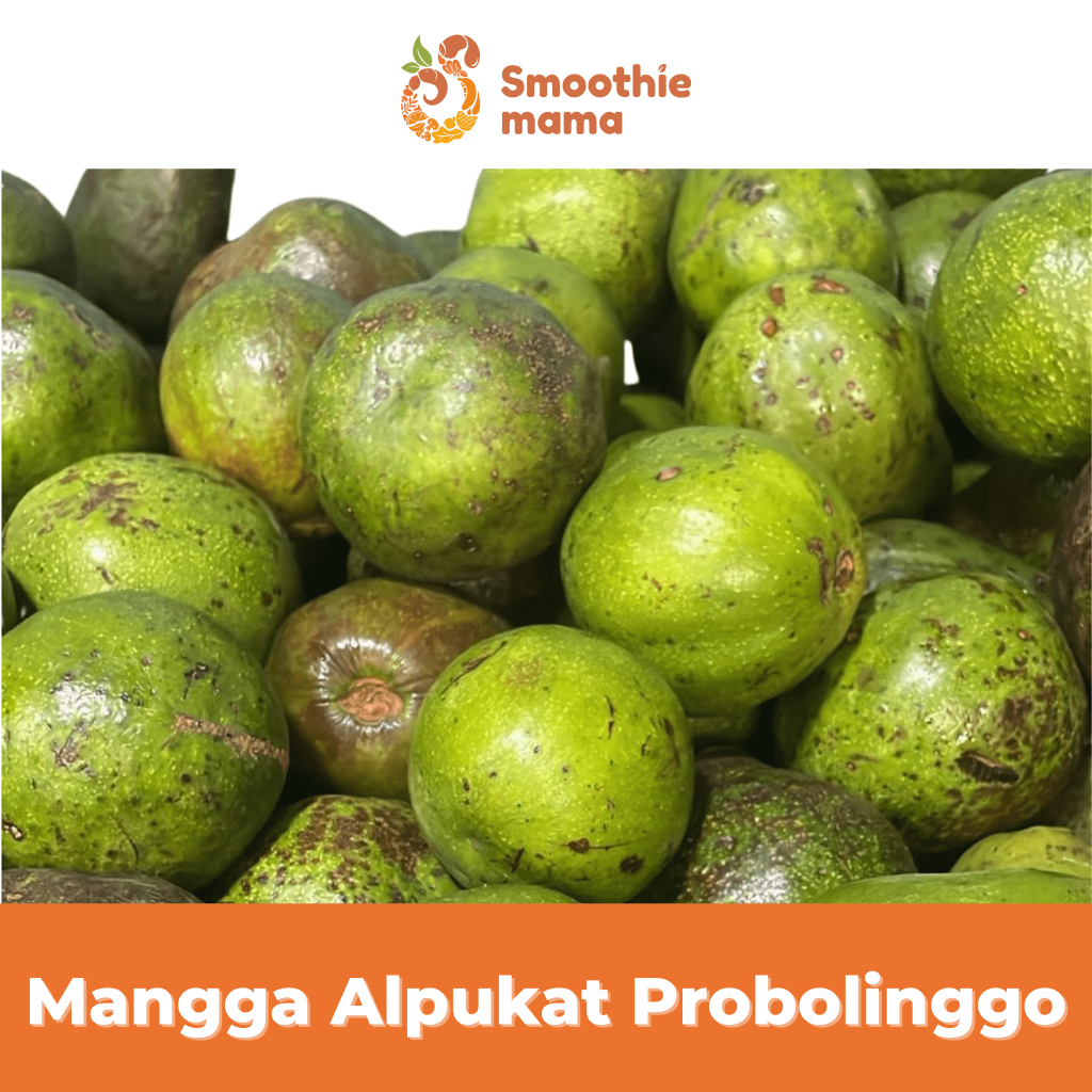 

SMOOTHIEMAMA Buah Mangga Alpukat Probolinggo 1 KG Segar