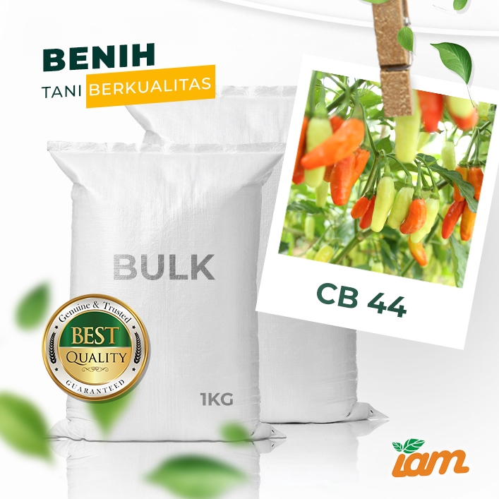 

BULK 1kg – cabai OP (CB 44)