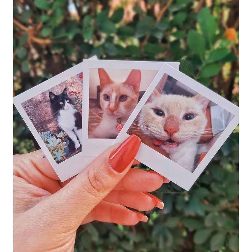 

Cetak Polaroid Ukuran 2R Custom