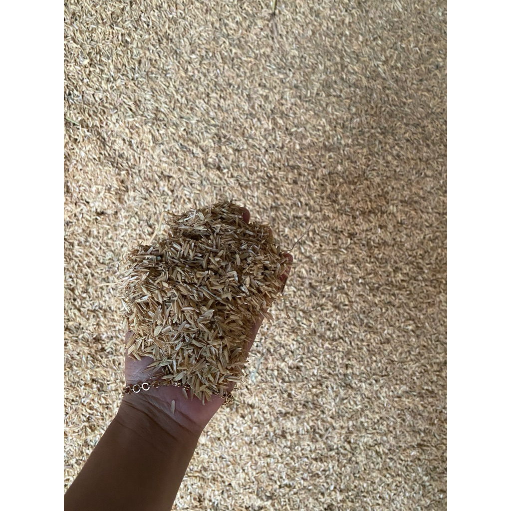Sekam padi mentah karung 50kg