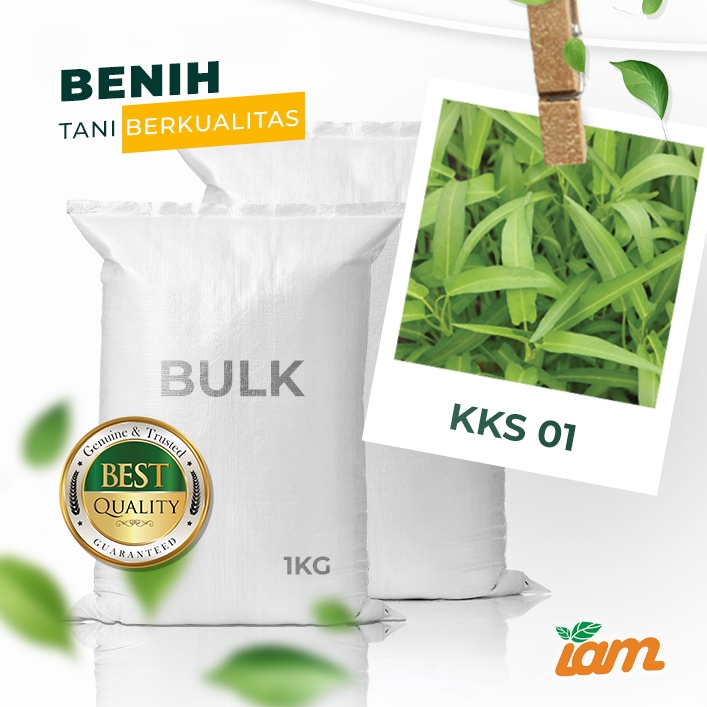 

BULK 1kg – kangkung daun sempit OP (KKS 01)