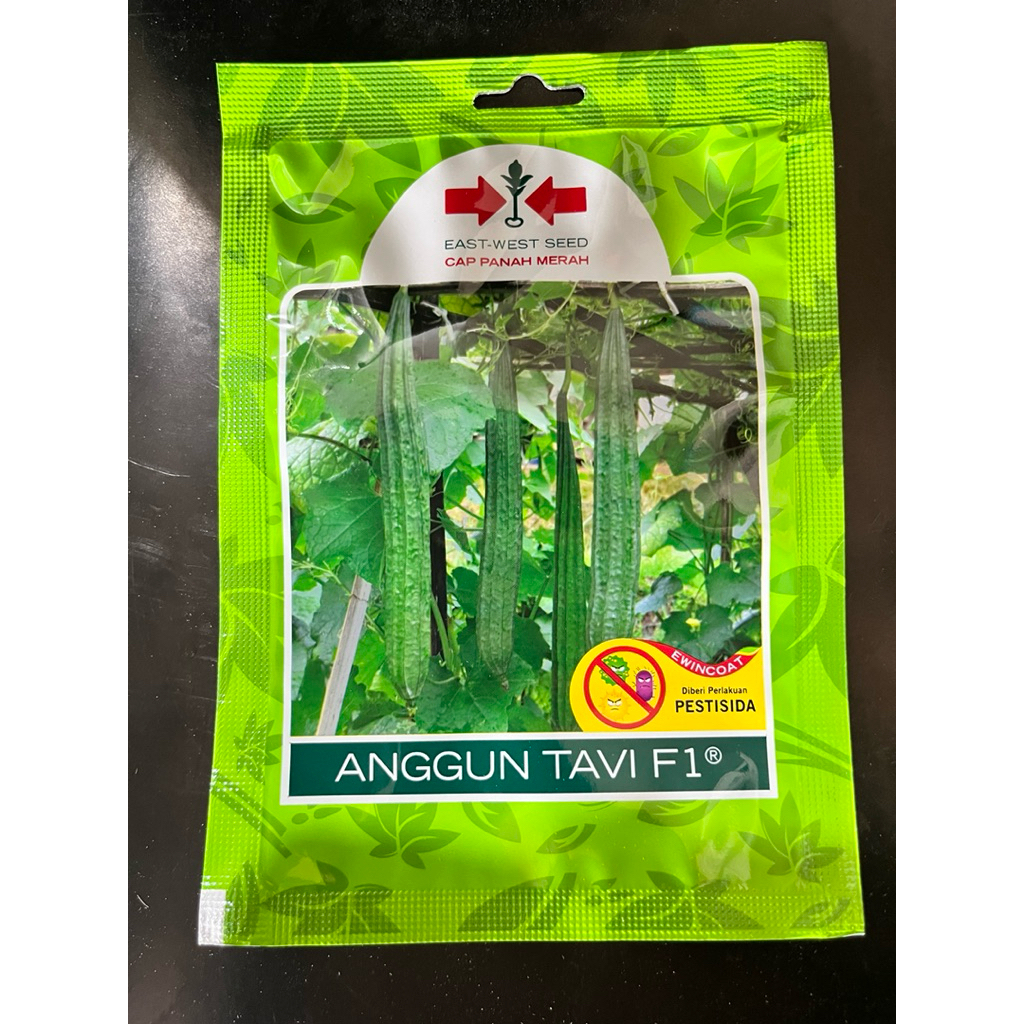 Benih Oyong Anggun Tavi 20 butir