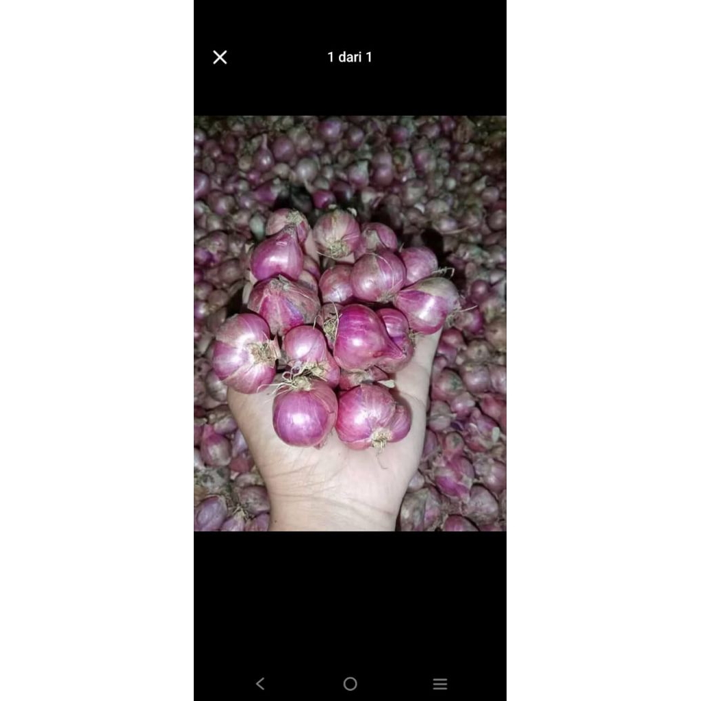 

BAWANG MERAH PREMIUM 1KG