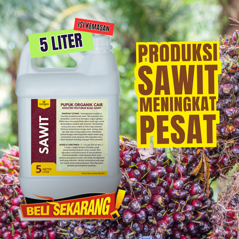 Shopritz Poc Booster Sawit 5 Liter Pupuk Pelebat Buah Sawit Super Cepat Berbuah Besar Cair Agar