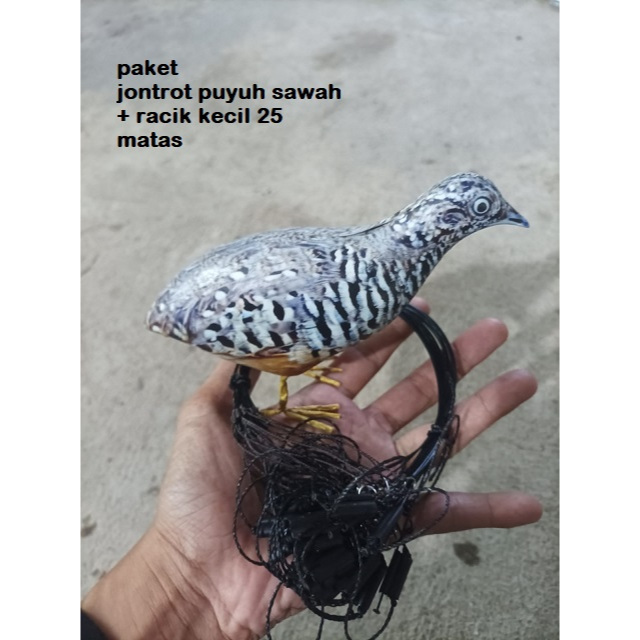 PAKET RACIK BURUNG KECIL 25 MATA 2 METER JERAT MANUK PUYUH BURUNG TIKUSAN PLUS JONTROT BURUNG MIRIP 
