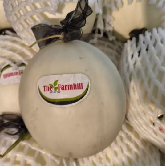 

Buah melon white manis garing premium pcs