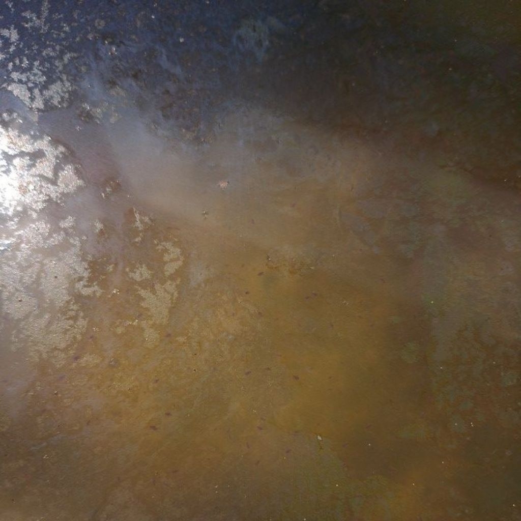 kutu air kultur kutir