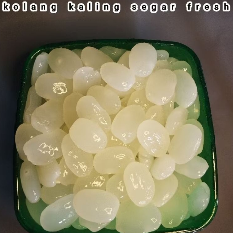 

Kolang Kaling Mentah Segar Bahan Manisan Berat 1 Kg