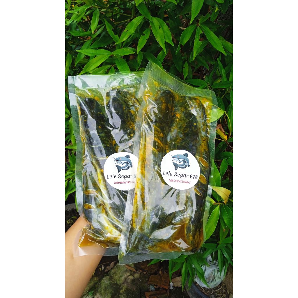 

Lele Segar Bumbu