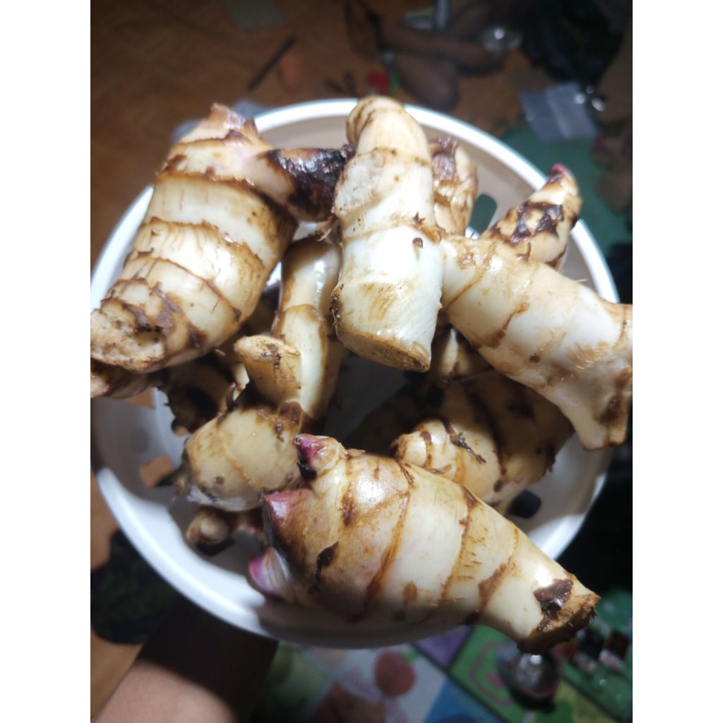 

umbi ganyong/merah segar 500gram