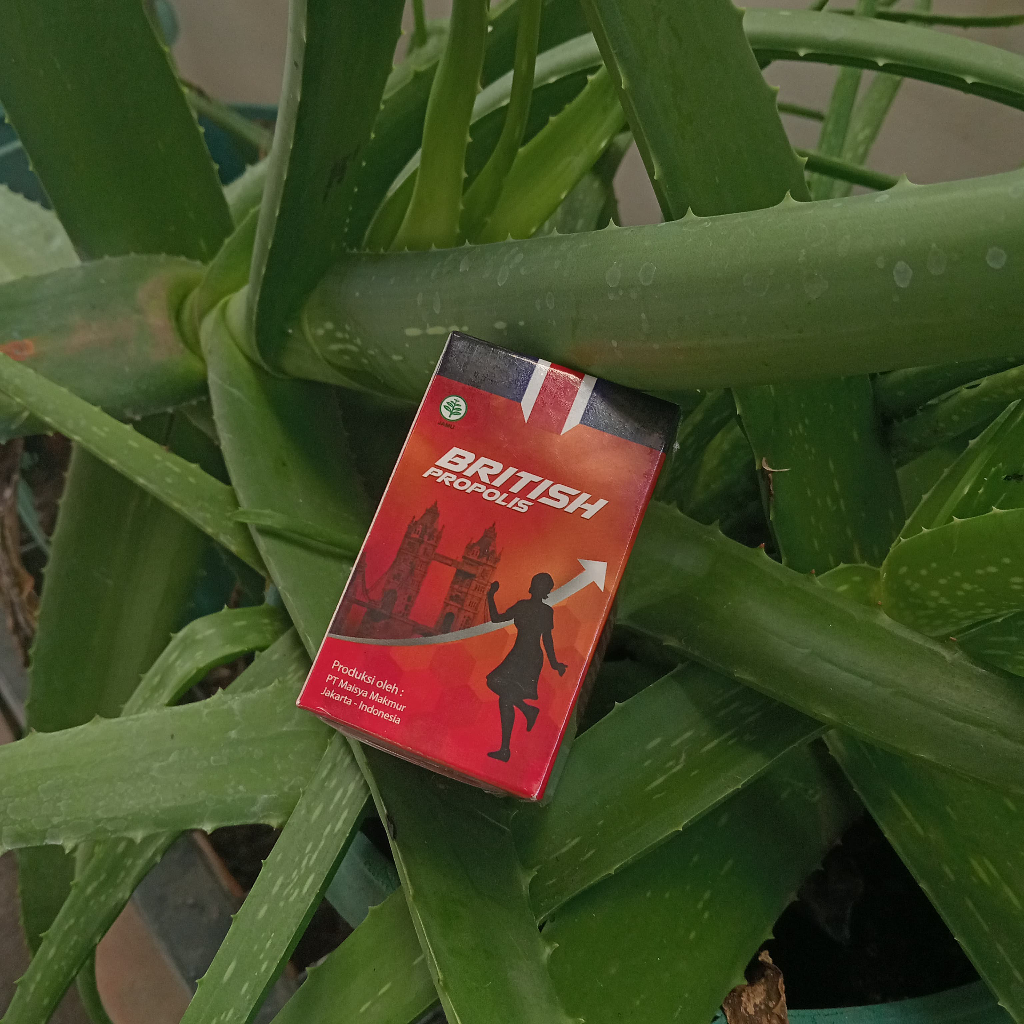 British Propolis Promil Stamina Pria Kesuburan Wanita Lancarkan Haid DIY