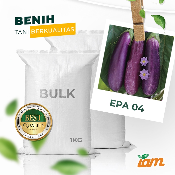 

BULK 1kg – terong ungu F1 (EPA 04)