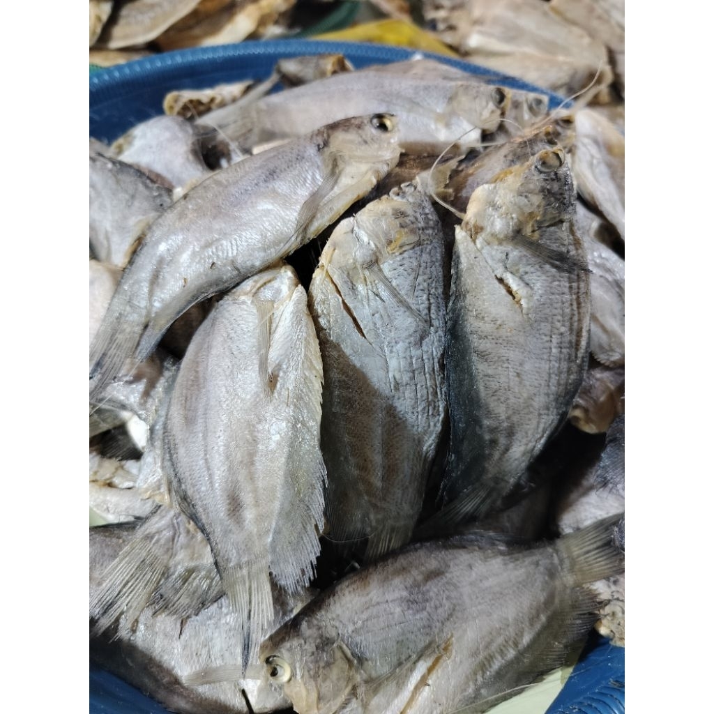 

IKAN ASIN SEPAT
