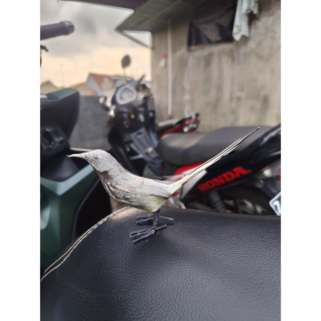 jontrot patung burung ciblek gunung / boneka manuk ninin eurih