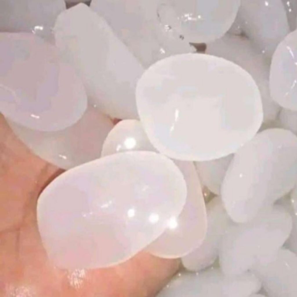 

Setok kulang kaleng segar 1kg