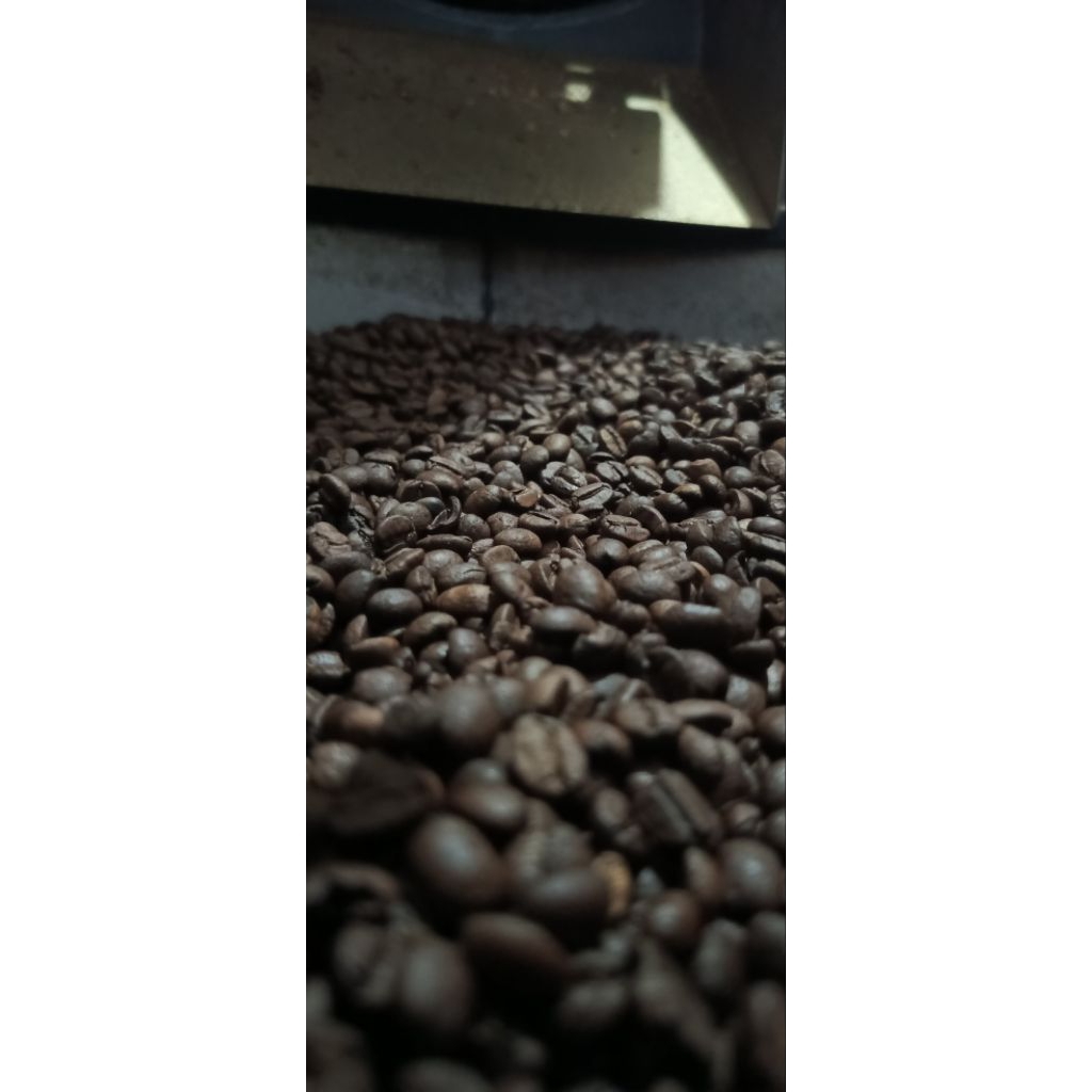 

Arabica