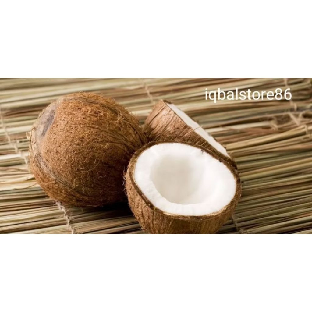 

Promo cod kelapa tua asli/termurah di shopee!!