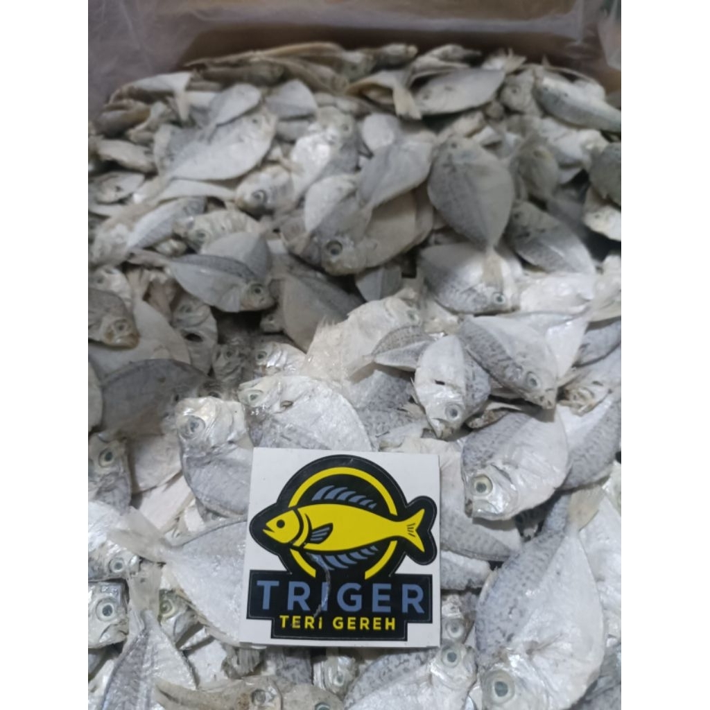 

Ikan Asin Petek 18.000/500gram